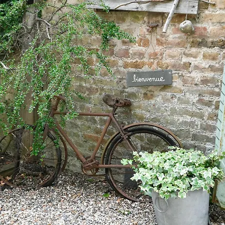 Croix L'abbe, L'avocette *